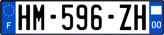 HM-596-ZH