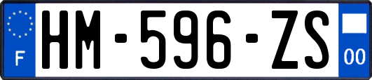 HM-596-ZS