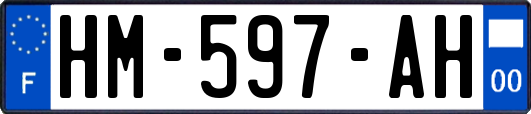 HM-597-AH