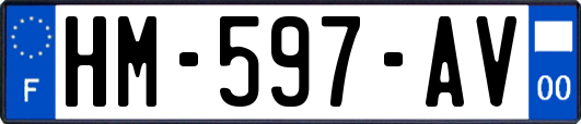 HM-597-AV
