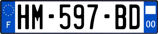 HM-597-BD