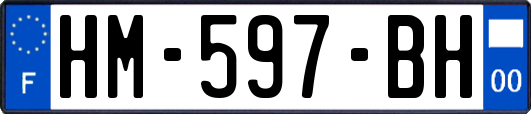 HM-597-BH