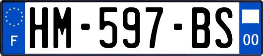 HM-597-BS
