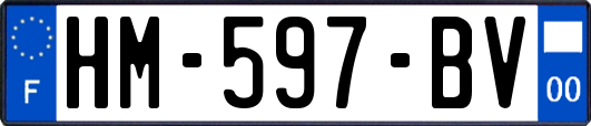 HM-597-BV