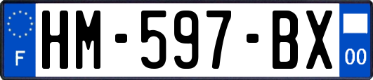 HM-597-BX