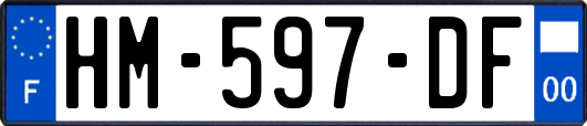 HM-597-DF