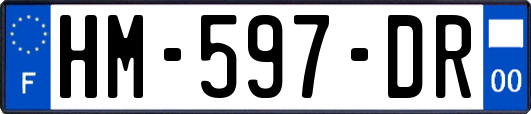 HM-597-DR