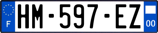 HM-597-EZ