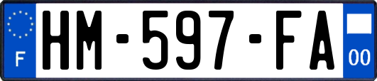 HM-597-FA