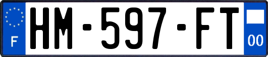 HM-597-FT