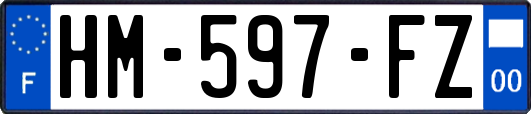 HM-597-FZ