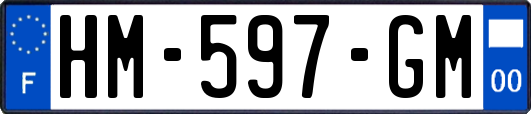 HM-597-GM