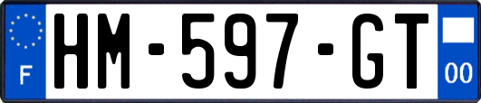 HM-597-GT
