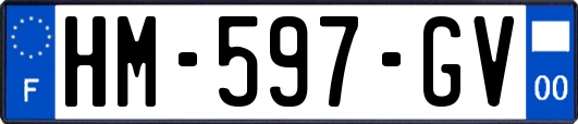 HM-597-GV