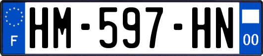 HM-597-HN