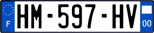 HM-597-HV