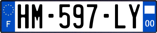 HM-597-LY