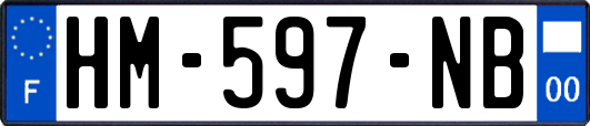 HM-597-NB