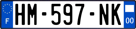 HM-597-NK