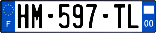 HM-597-TL