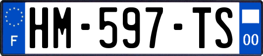 HM-597-TS