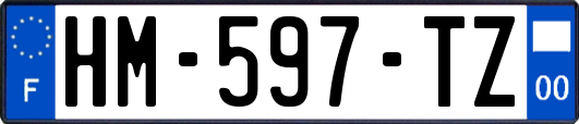HM-597-TZ