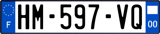 HM-597-VQ
