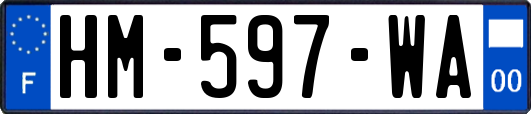 HM-597-WA