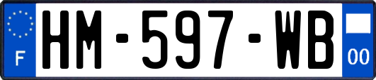HM-597-WB
