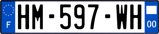 HM-597-WH