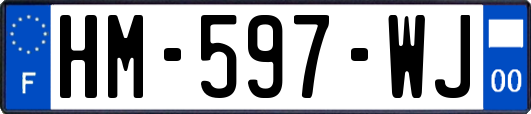 HM-597-WJ
