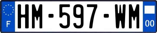 HM-597-WM