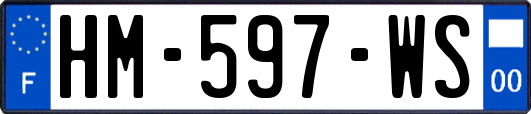 HM-597-WS