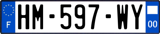 HM-597-WY