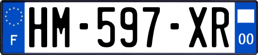 HM-597-XR