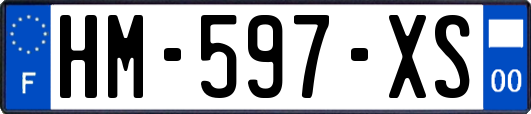 HM-597-XS