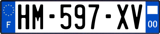 HM-597-XV