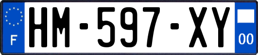 HM-597-XY