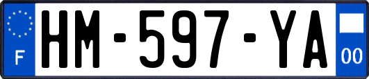 HM-597-YA