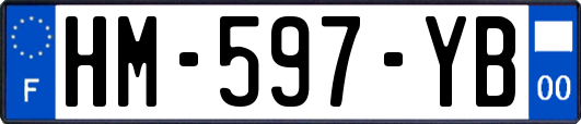 HM-597-YB