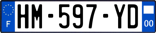 HM-597-YD