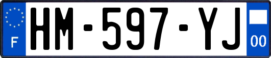 HM-597-YJ