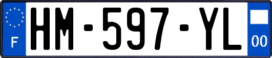 HM-597-YL