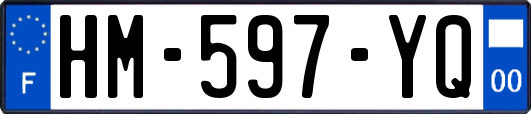 HM-597-YQ