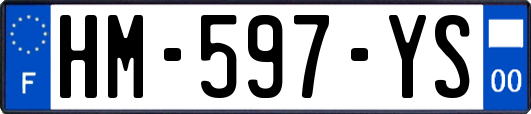 HM-597-YS