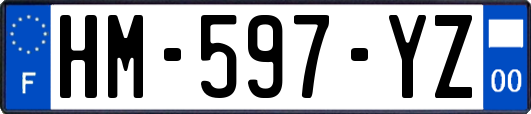 HM-597-YZ