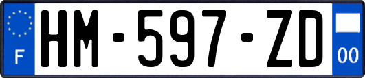 HM-597-ZD