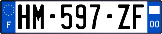 HM-597-ZF
