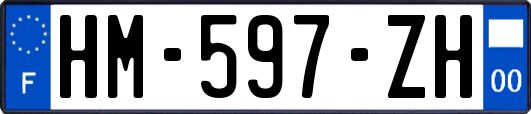 HM-597-ZH