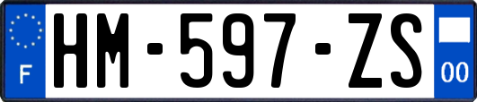 HM-597-ZS